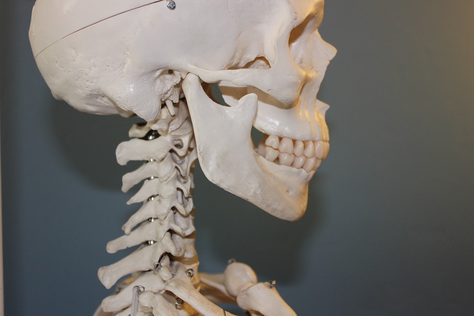 ></p>
<p>交通事故の最も一般的な外傷とも言える<strong>顎骨骨折</strong>。</p>
<p>一般的ではありますが、顎の骨を骨折した場合、単にその部分が痛むだけではありません。</p>
<ul class=
