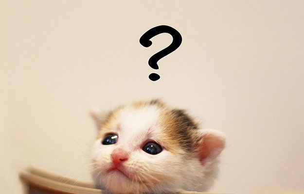 通院慰謝料に影響する通院期間｜3ヶ月と6ヶ月でどれほど違う！？